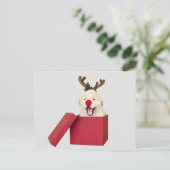 赤いクリスマスプレゼントの箱の中のゴールデンレトリバーの子犬 ポストカード (スタンド正面)