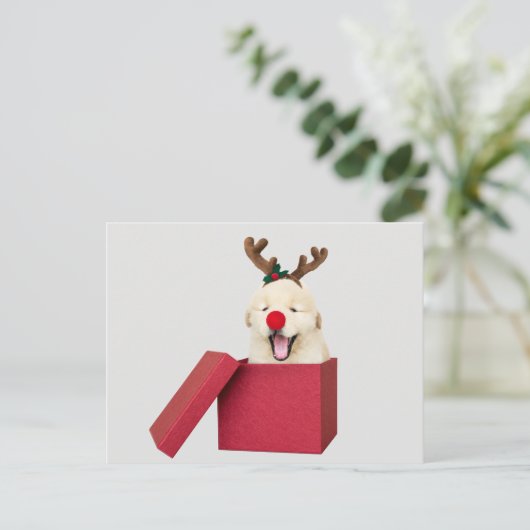 赤いクリスマスプレゼントの箱の中のゴールデンレトリバーの子犬 ポストカード (スタンド正面)