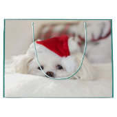 赤いクリスマス帽子をかぶったかわいい白い犬 ラージペーパーバッグ (正面)