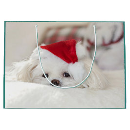 赤いクリスマス帽子をかぶったかわいい白い犬 ラージペーパーバッグ
