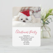 赤いクリスマス帽子をかぶったかわいい白い犬 招待状 (スタンド正面)