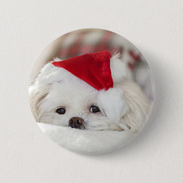 赤いクリスマス帽子をかぶったかわいい白い犬 缶バッジ