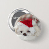 赤いクリスマス帽子をかぶったかわいい白い犬 缶バッジ (正面&裏面)