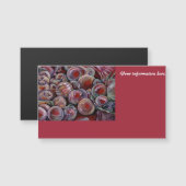 赤いクリスマス·ボール (正面/裏面)