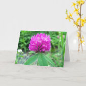 赤いクローバーの花3グリーティングカード カード (黄色い花)