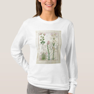 赤いクローバー及びオーブBellidisのOnobrychis及びHyssopus Tシャツ