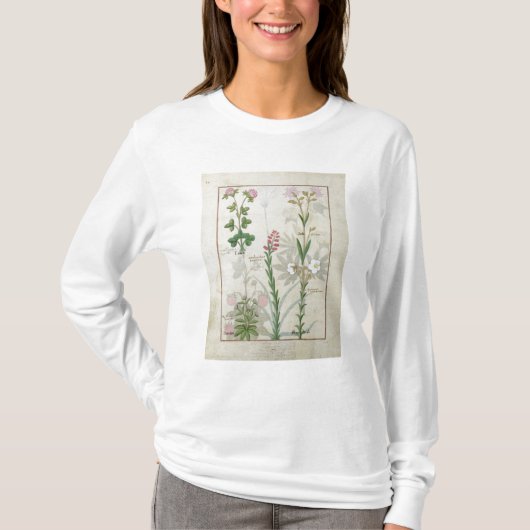 赤いクローバー及びオーブBellidisのOnobrychis及びHyssopus Tシャツ (正面)