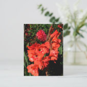 赤いグラジオラス ポストカード (スタンド正面)
