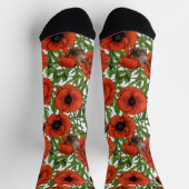 赤いケシとレンシ、白い離れ緑色の ソックス (上部)