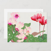 赤いケシのはがき ポストカード (正面/裏面)