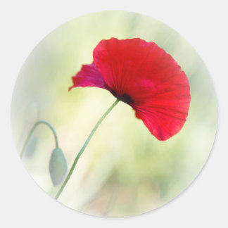赤いケシのエプロン「幸せになれ！」 ラウンドシール