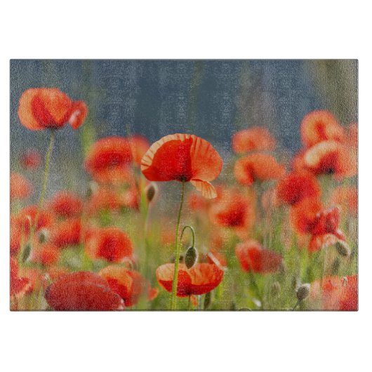 赤いケシのケシによっては青空が開花します カッティングボード (正面)