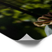 赤いケシのポスター ポスター (角)