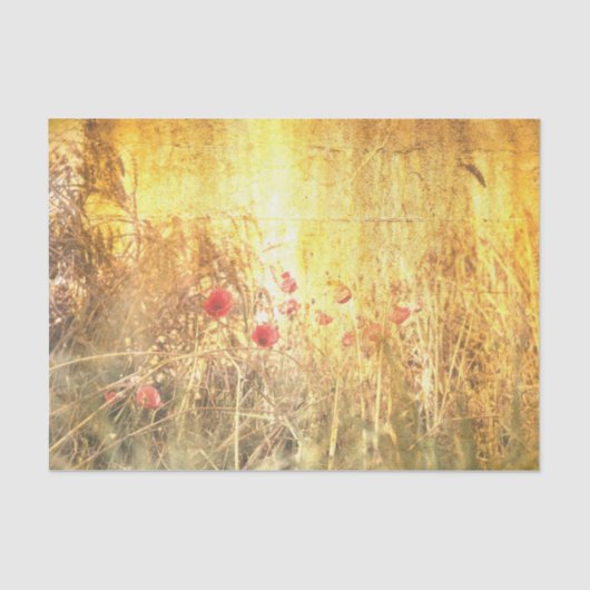 赤いケシの入った穀物の放射能畑 薄葉紙 (正面)
