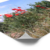 赤いケシの素敵なポスターとつる植物 ポスター (角)