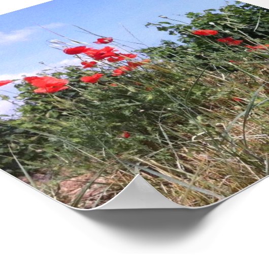 赤いケシの素敵なポスターとつる植物 ポスター (角)