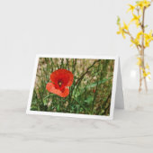 赤いケシの肖像画 カード (黄色い花)