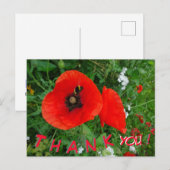 赤いケシの花と蜂のありがとうポストカード ポストカード (正面/裏面)