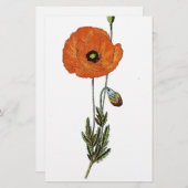 赤いケシの花のヴィンテージの植物のプリント 便箋 (正面/裏面)