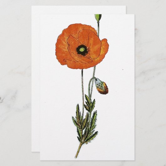 赤いケシの花のヴィンテージの植物のプリント 便箋 (正面/裏面)