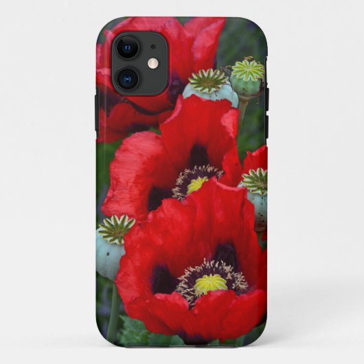 赤いケシの花の携帯ケース Case-Mate iPhoneケース (裏面)