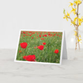 赤いケシの花 カード (黄色い花)