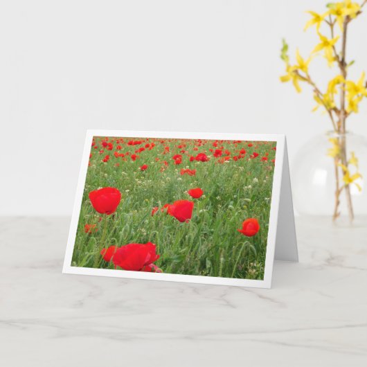 赤いケシの花 カード (黄色い花)