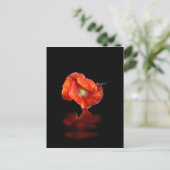 赤いケシの花 ポストカード (スタンド正面)