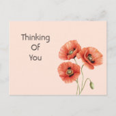 赤いケシの花 ポストカード (正面)