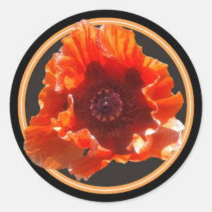 赤いケシの花 ラウンドシール