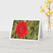 赤いケシの蜜蜂 カード (黄色い花)
