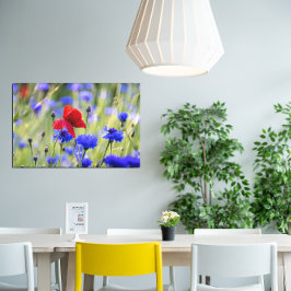 赤いケシの野花の写真 キャンバスプリント