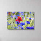 赤いケシの野花の写真 キャンバスプリント (正面)