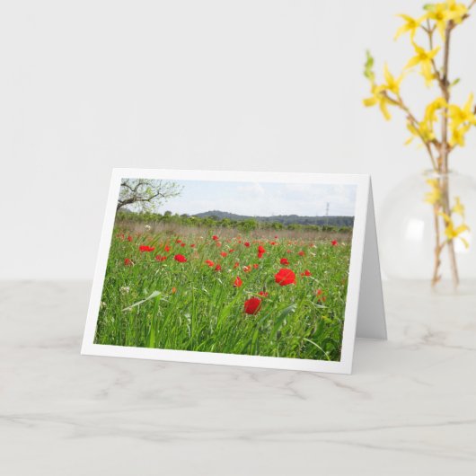 赤いケシ畑 カード (黄色い花)