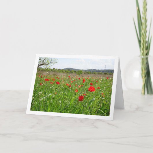 赤いケシ畑 カード (正面)