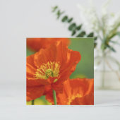 赤いケシ カード (スタンド正面)