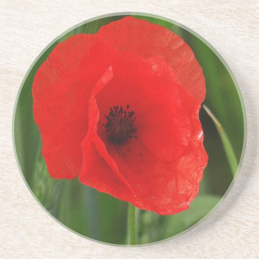 赤いケシ コースター (正面)