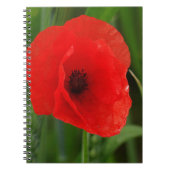 赤いケシ ノートブック (正面)