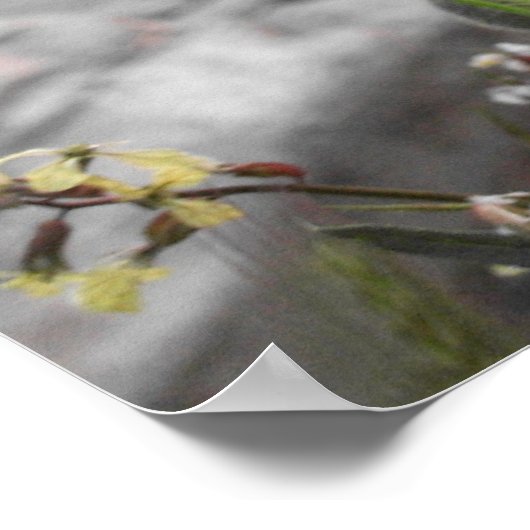 赤いケシ ポスター (角)