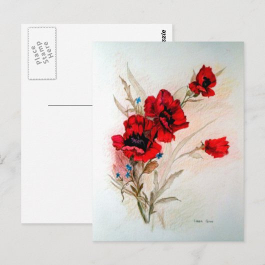 赤いケシ ポストカード (正面/裏面)