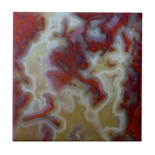 赤いコケゲートスラブを閉じる タイル (正面)