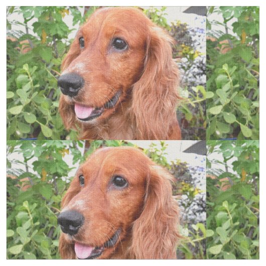 赤いコッカースパニエル犬.png ファブリック (クローズアップ)