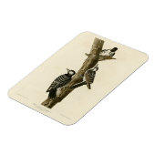 赤いコックレッドのウードカーオードゥボンの鳥たち マグネット (左側)