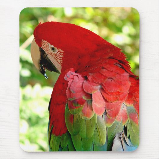 赤いコンゴウインコのマウスパッド2 マウスパッド (正面)