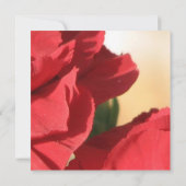 赤いコーナーのばら色の結婚式 招待状 (裏面)