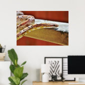 赤いコーンスネーク ポスター (ホームオフィス)