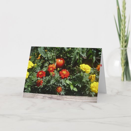 「赤いゴムボールのように」回復グリーティングカード カード (正面)