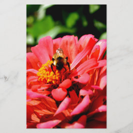 赤いサンゴエレガントフローラかわいいのまわりに