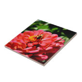 赤いサンゴエレガントフローラかわいいのまわりに タイル (側面)