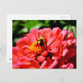赤いサンゴエレガントフローラかわいいのまわりに ポストカード (正面/裏面)